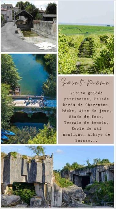 Gite La Rive Gauche Saint-Meme-les-Carrieres المظهر الخارجي الصورة